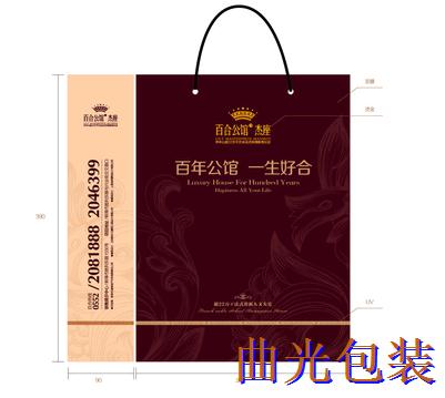 紙袋設(shè)計(jì)