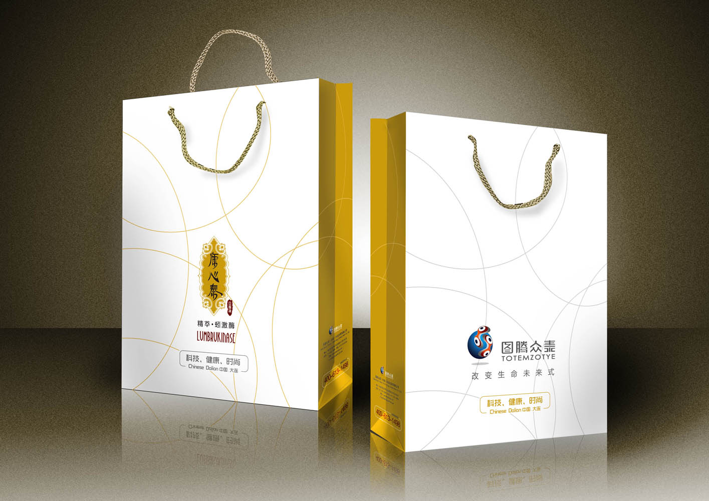 手提袋設(shè)計圖片