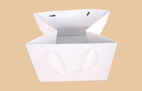 手提紙袋設(shè)計圖